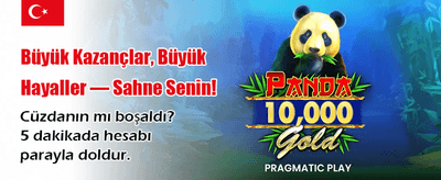 Hızlı Giriş, Maksimum Eğlence